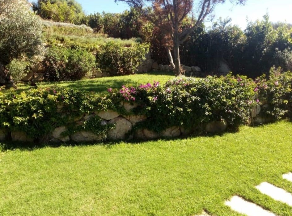 realizzazione giardino